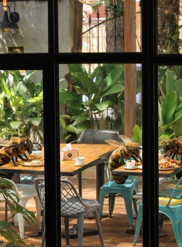 Interior de Almarreina Cafetería
